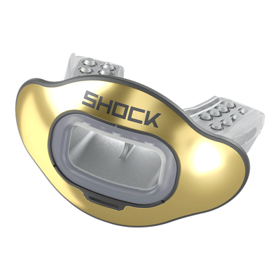Interchange Lip Guard Mouthpiece + Shield