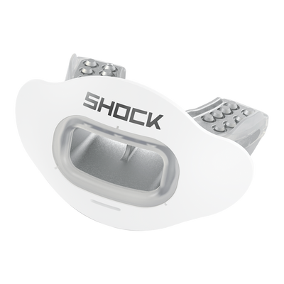Interchange Lip Guard Mouthpiece + Shield