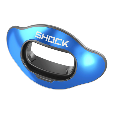 Interchange Lip Guard Chrome Shield (1-Pack)